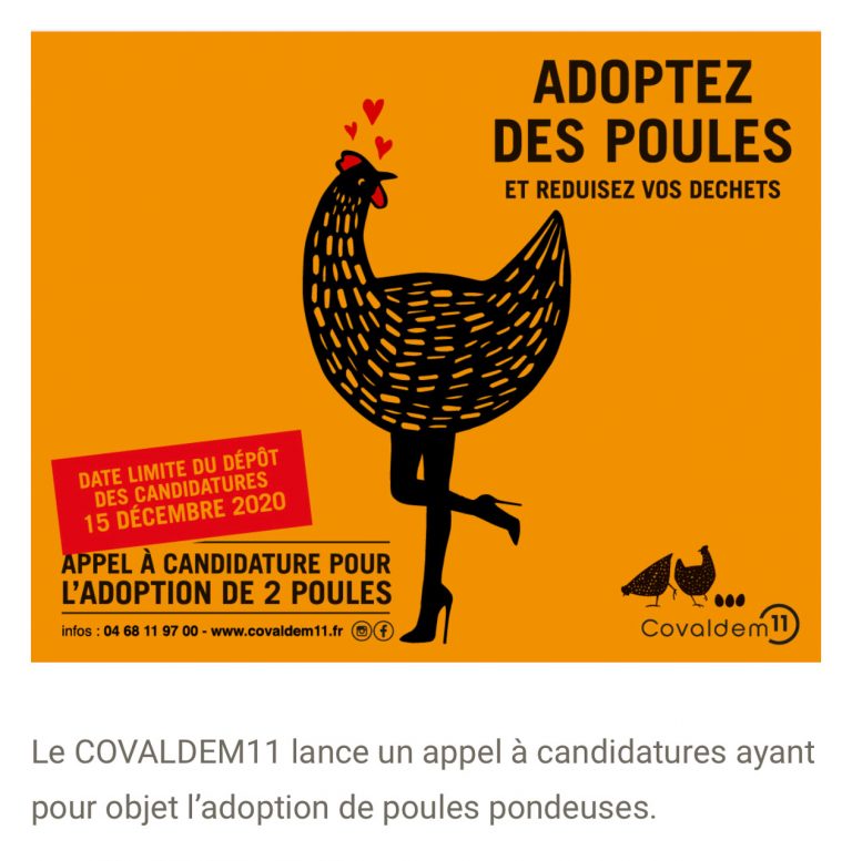 Illustration de l’avis : COVALDEM – Internet