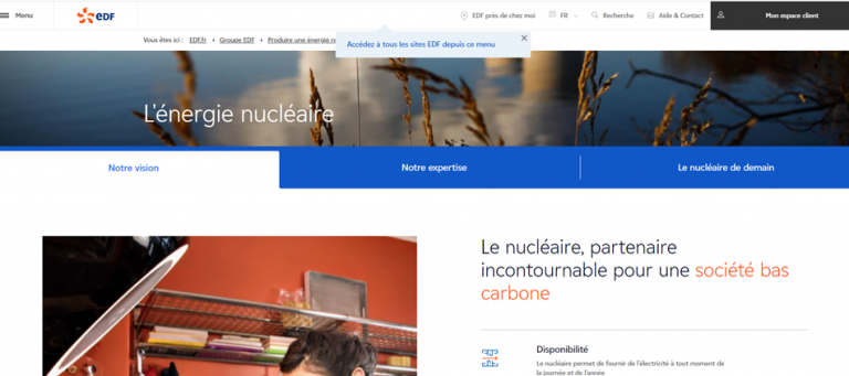 Illustration de l’avis : EDF – Internet