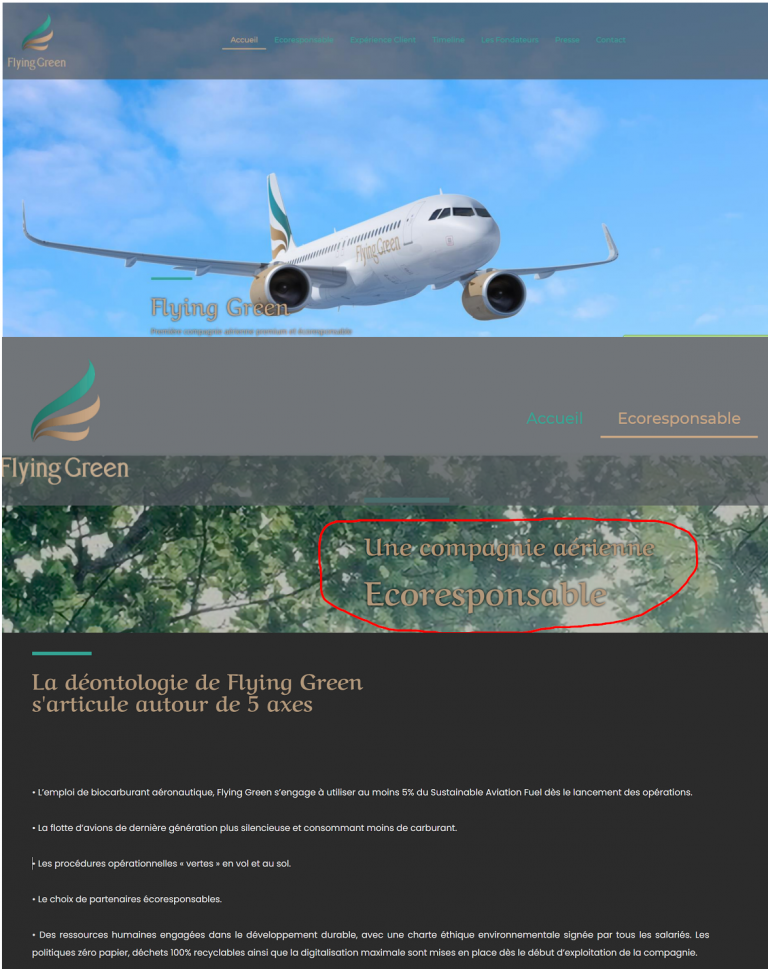 Illustration de l’avis : FLYING GREEN – Internet – Incompétence