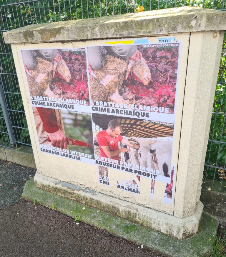 Illustration de l’avis : RESEAU PYTHAGORE – Affichage