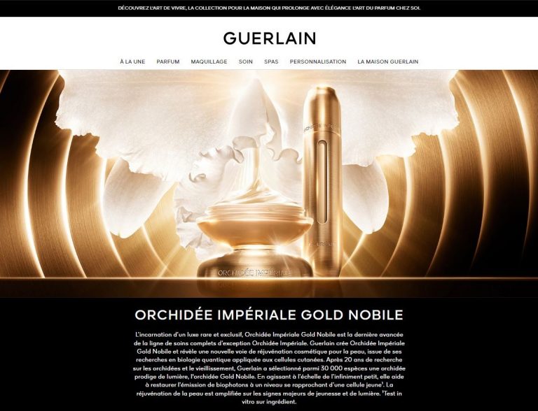Illustration de l’avis : GUERLAIN – Internet