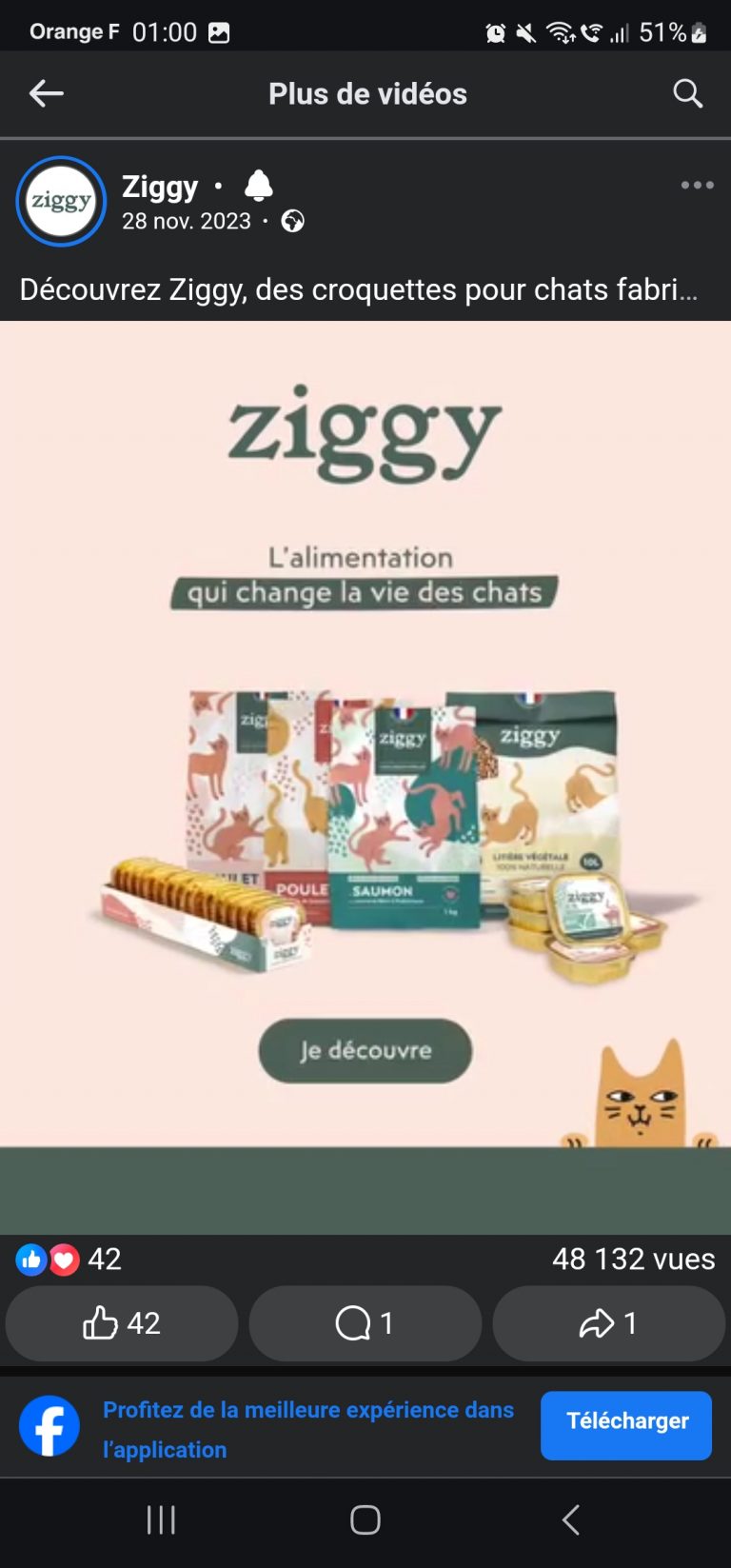 Illustration de l’avis : ZIGGY FAMILY – Internet