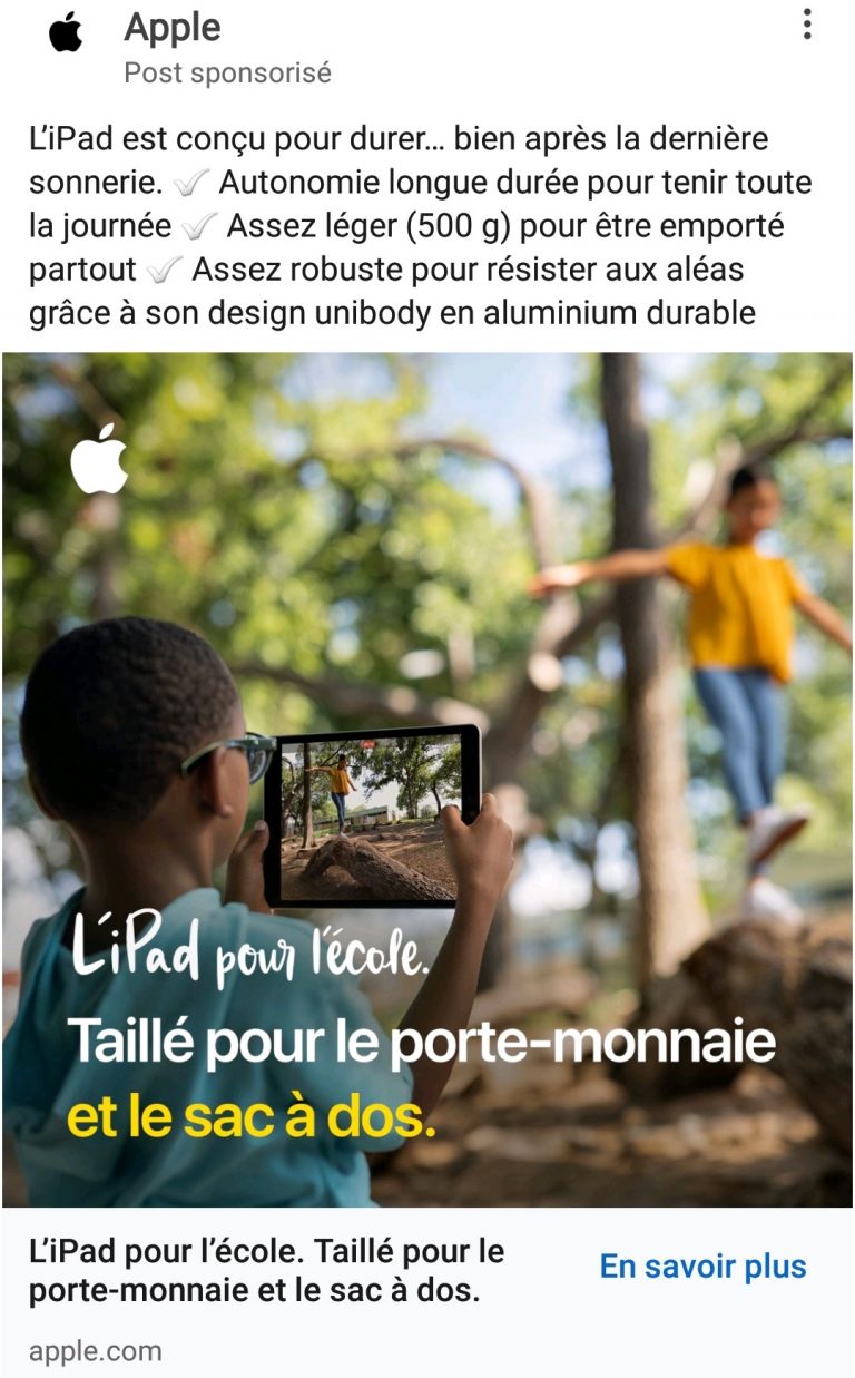 Illustration de l’avis : APPLE IPAD – Internet