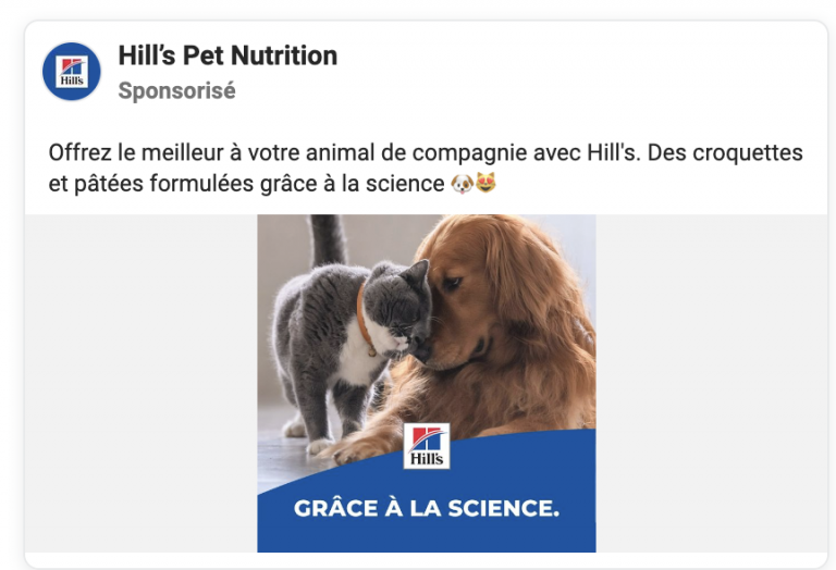 Illustration de l’avis : HILL’S – Internet