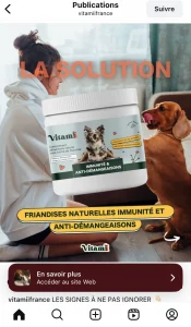 Publicité VITAMII