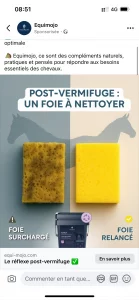 Publicité EQUI-MOJO